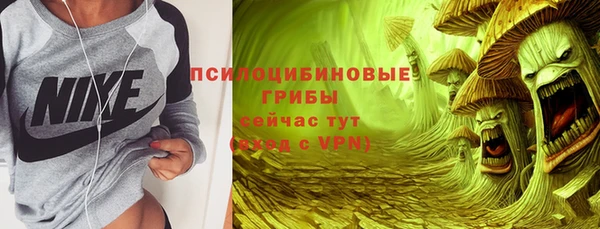бутират Белокуриха