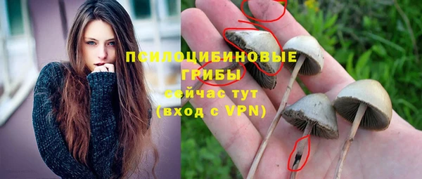 бутират Белокуриха